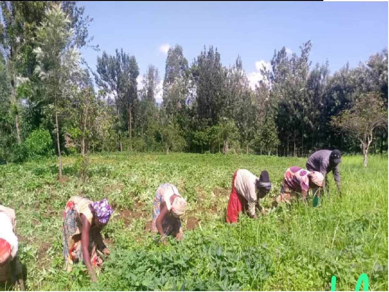 Agriculture